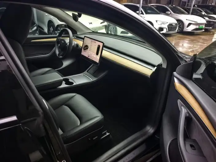 Model Y 2022 Model Facelift Rear-wheel drive version – фото 5