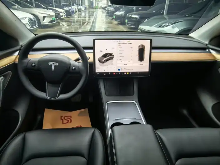 Model Y 2022 Model Facelift Rear-wheel drive version – фото 7