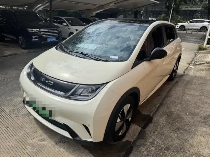 BYD Dolphin 2023 Model Fashion Edition – фото 1