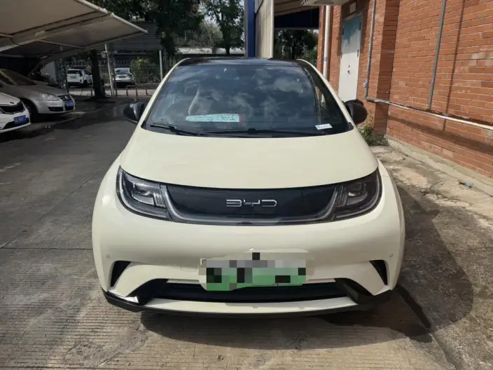 BYD Dolphin 2023 Model Fashion Edition – фото 2