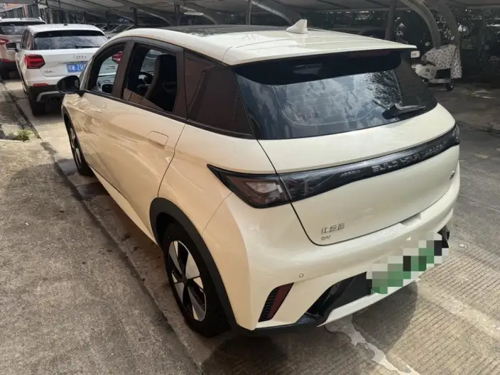 BYD Dolphin 2023 Model Fashion Edition – фото 4