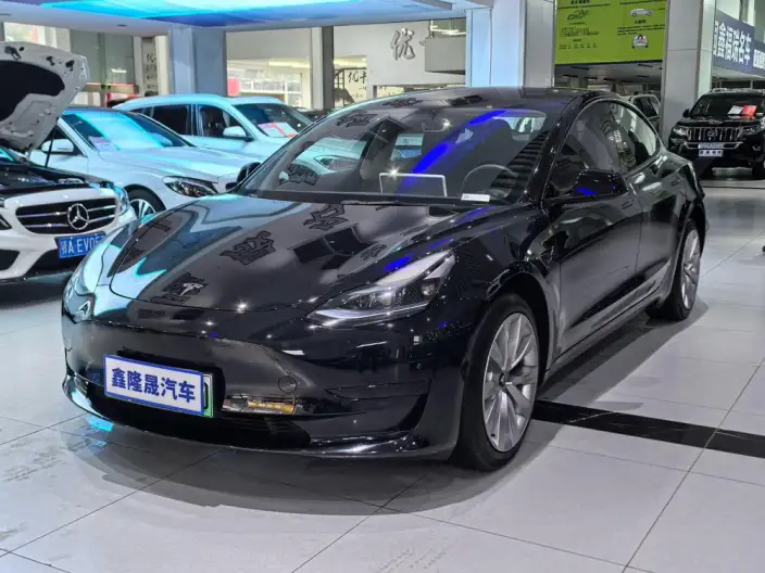 Model 3 2022 Model Rear-wheel drive version – фото 1