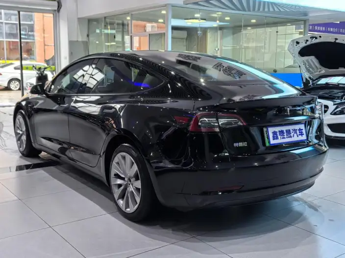 Model 3 2022 Model Rear-wheel drive version – фото 4