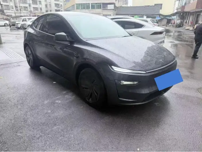 Model Y 2025 Model Facelift Long Battery Life Pro All-wheel drive version – фото 3