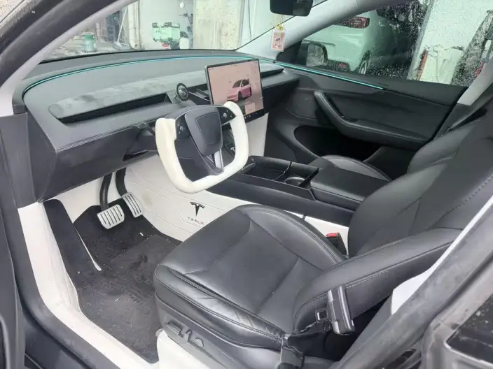 Model Y 2025 Model Facelift Long Battery Life Pro All-wheel drive version – фото 8