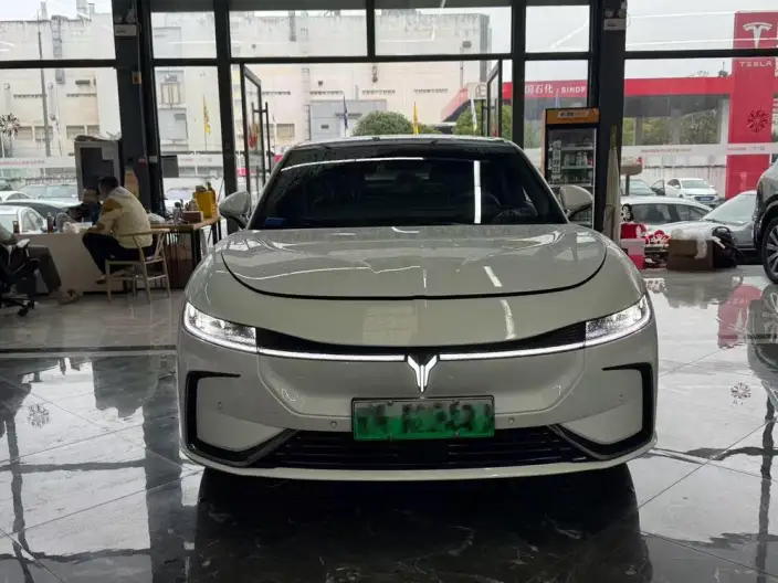 Voyah Pursuit EV 2023 Model 580km Standard Edition – фото 2