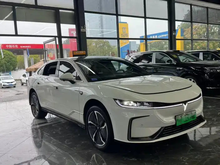 Voyah Pursuit EV 2023 Model 580km Standard Edition – фото 3
