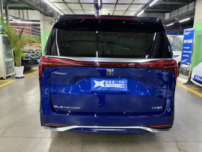 Century 2023 Model 2.0T VI seat Yunshi Edition – фото 5