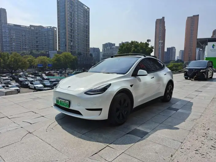 Model Y 2022 Model Rear-wheel drive version – фото 1