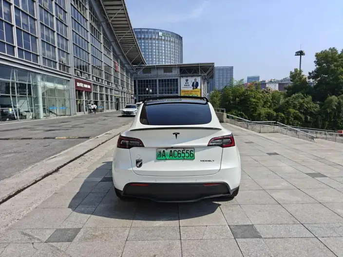 Model Y 2022 Model Rear-wheel drive version – фото 3