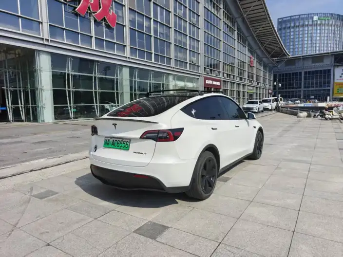 Model Y 2022 Model Rear-wheel drive version – фото 4