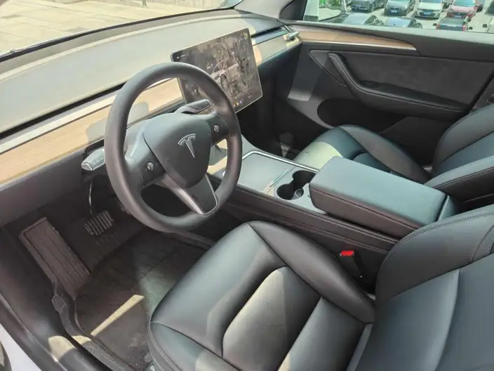 Model Y 2022 Model Rear-wheel drive version – фото 8