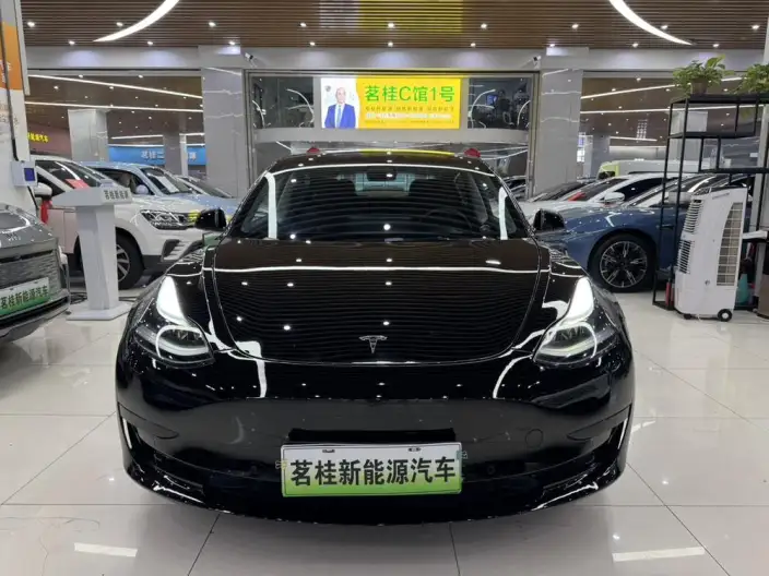 Model 3 2022 Model Rear-wheel drive version