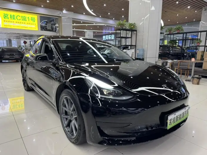 Model 3 2022 Model Rear-wheel drive version