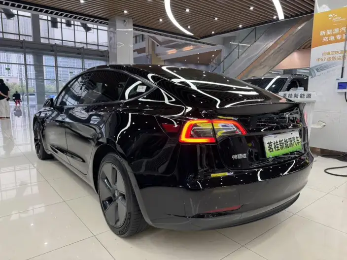 Model 3 2022 Model Rear-wheel drive version – фото 5