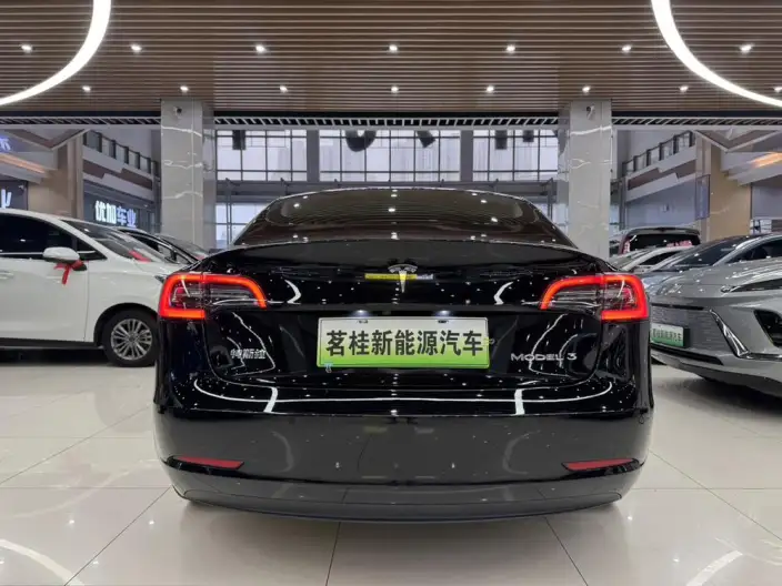 Model 3 2022 Model Rear-wheel drive version – фото 6