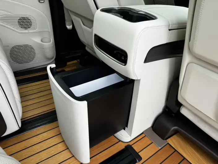DENZA D9 DM 2024 Model 1050 Exclusive Model – фото 10