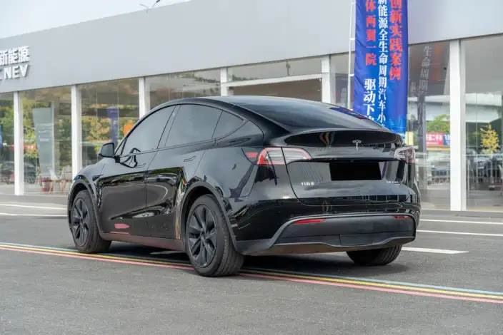 Model Y 2023 Model Rear-wheel drive version – фото 5