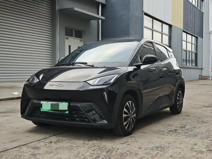 BYD Seagull 2024 Model Honor Edition 305KM Vitality Edition