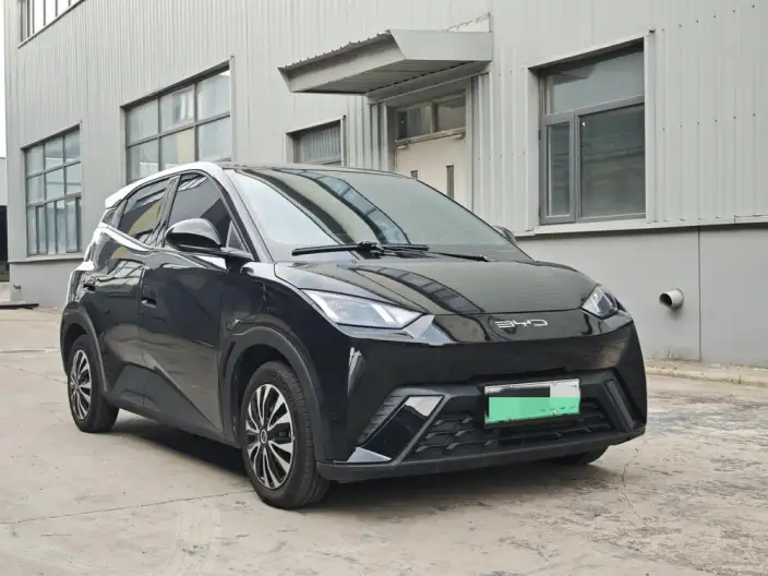 BYD Seagull 2024 Model Honor Edition 305KM Vitality Edition