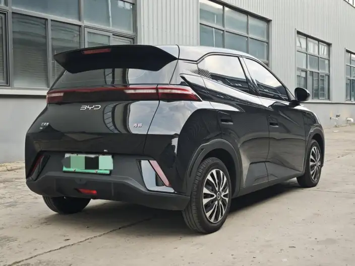 BYD Seagull 2024 Model Honor Edition 305KM Vitality Edition