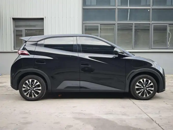 BYD Seagull 2024 Model Honor Edition 305KM Vitality Edition – фото 5