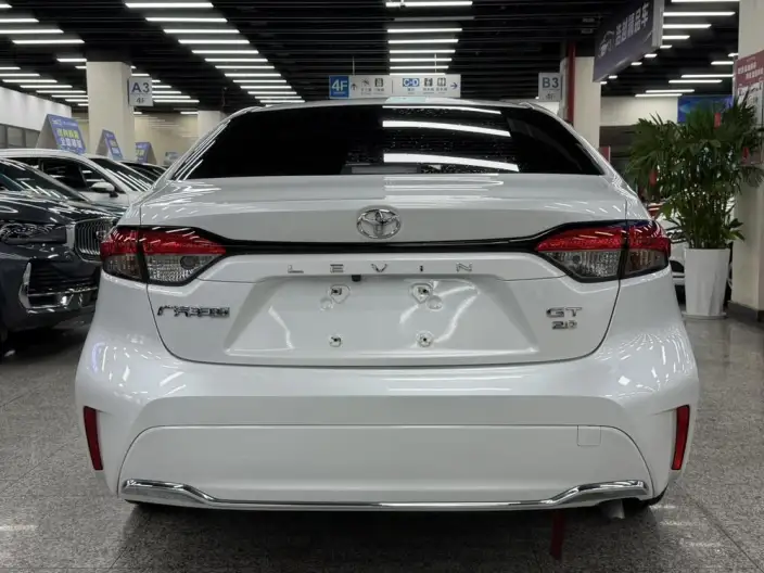 Lingshang 2024 Model 2.0L Deluxe Edition – фото 5