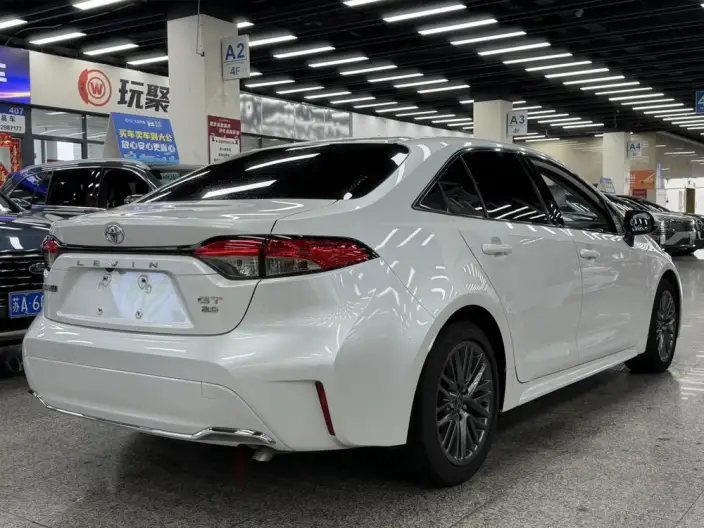 Lingshang 2024 Model 2.0L Deluxe Edition – фото 6