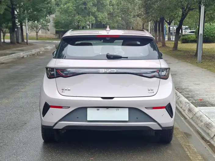 BYD Dolphin 2025 Model Smart Driving Edition 410KM Fashion Edition – фото 5