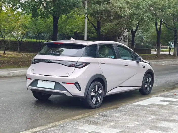 BYD Dolphin 2025 Model Smart Driving Edition 410KM Fashion Edition – фото 6