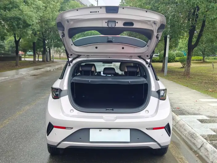 BYD Dolphin 2025 Model Smart Driving Edition 410KM Fashion Edition – фото 7