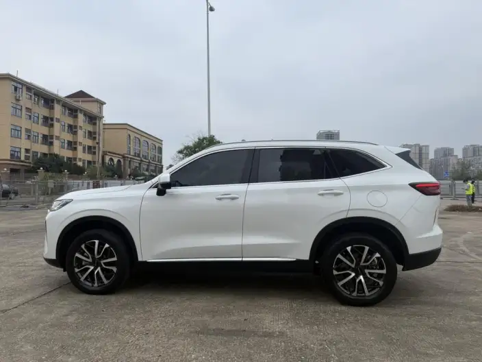 Haval H6 2021 Model Third generation 1.5GDIT Automatic Max Edition