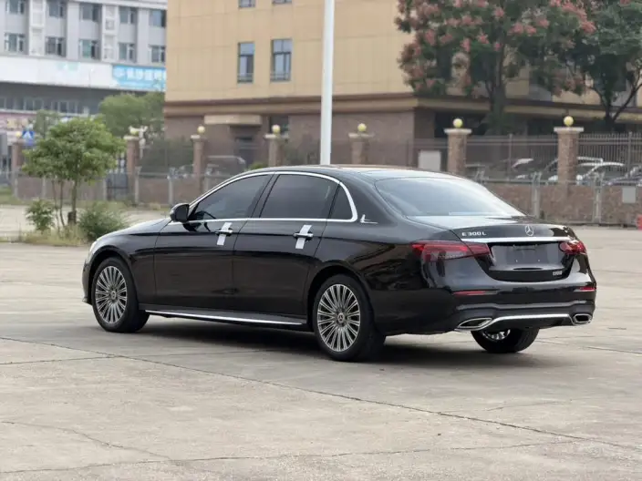 Mercedes-Benz E-Class 2023 Model Facelift E 300 L Luxury Model sedan – фото 7