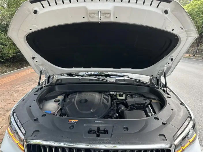 Geely Xingyue L 2021 Model 2.0TD DCT EVO 2WD Noble Model – фото 6