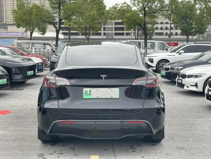 Model Y 2023 Model Long Battery Life Pro All-wheel drive version – фото 5