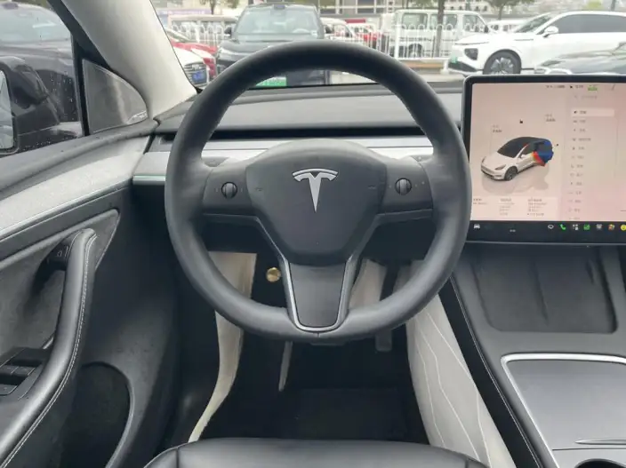 Model Y 2023 Model Long Battery Life Pro All-wheel drive version – фото 9