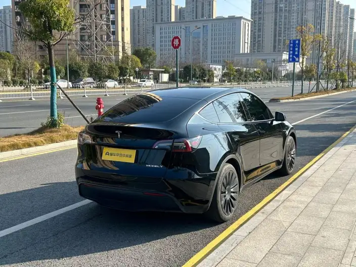 Model Y 2022 Model Facelift Rear-wheel drive version – фото 6