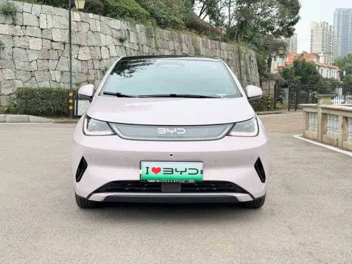 BYD Dolphin 2025 Model Smart Driving Edition 410KM Fashion Edition