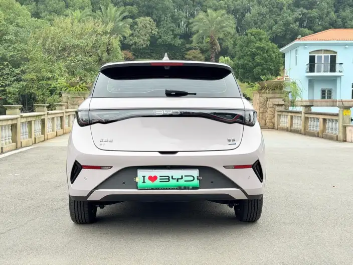 BYD Dolphin 2025 Model Smart Driving Edition 410KM Fashion Edition – фото 5