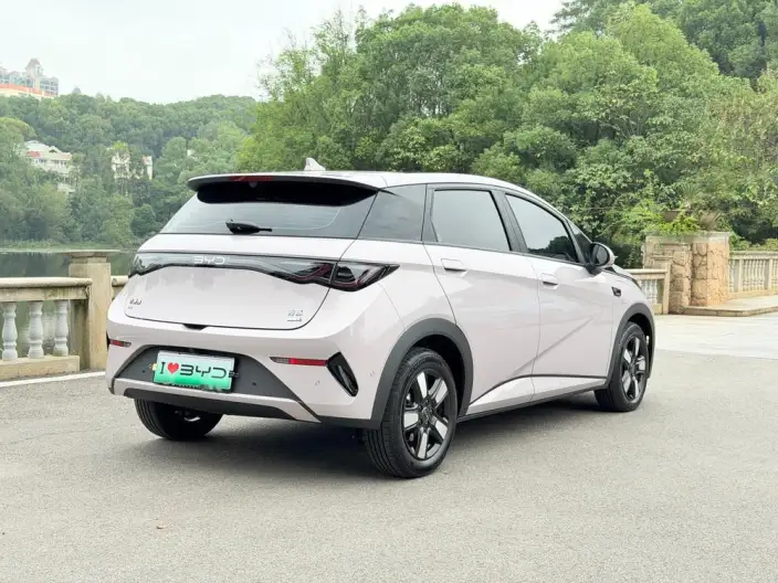 BYD Dolphin 2025 Model Smart Driving Edition 410KM Fashion Edition – фото 6