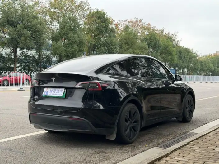 Model Y 2023 Model Rear-wheel drive version – фото 5