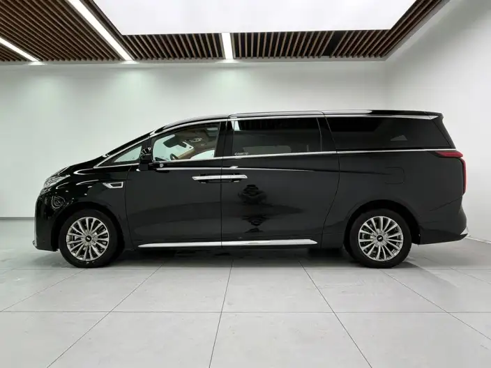 Wey Gaoshan P HEV 2023 Model 4WD Executive Extended Edition – фото 4
