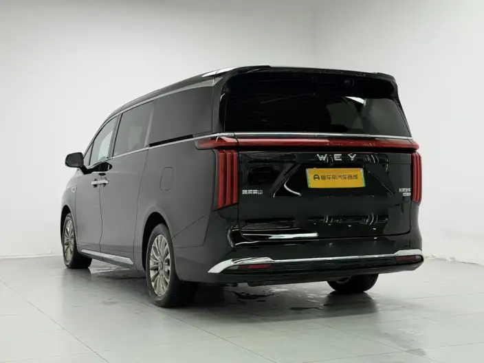 Wey Gaoshan P HEV 2023 Model 4WD Executive Extended Edition – фото 5