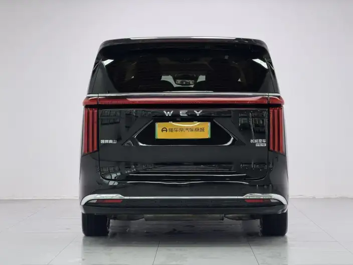 Wey Gaoshan P HEV 2023 Model 4WD Executive Extended Edition – фото 6