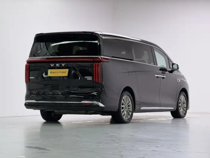 Wey Gaoshan P HEV 2023 Model 4WD Executive Extended Edition – фото 7