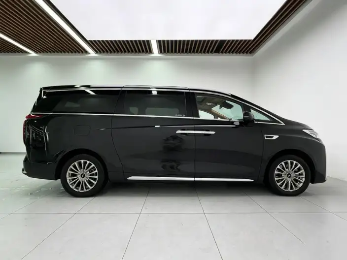 Wey Gaoshan P HEV 2023 Model 4WD Executive Extended Edition – фото 8