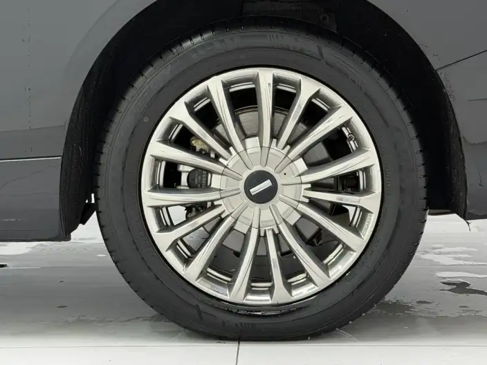 Wey Gaoshan P HEV 2023 Model 4WD Executive Extended Edition – фото 9