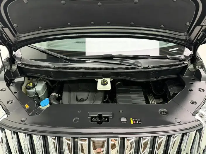 Wey Gaoshan P HEV 2023 Model 4WD Executive Extended Edition – фото 10