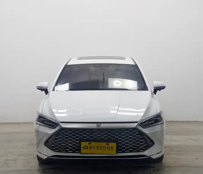 BYD Qin PLUS DM 2021 Model DM-i 55KM Flagship Model – фото 2