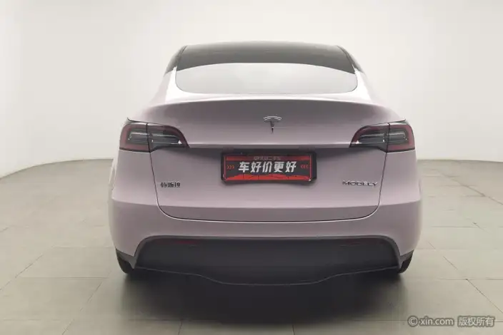 Model Y 2024 Model Rear-wheel drive version – фото 3